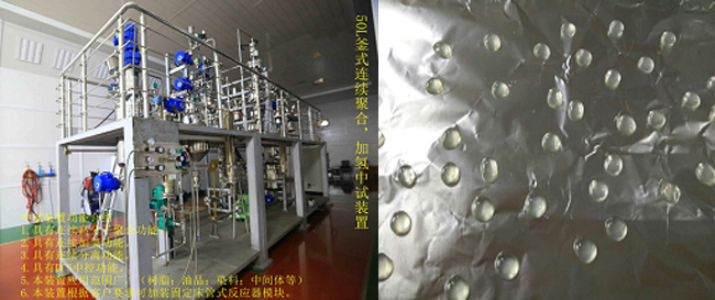 祝賀國內(nèi)首套釜式連續(xù)加氫中試成套裝置一次出料成功！.jpg